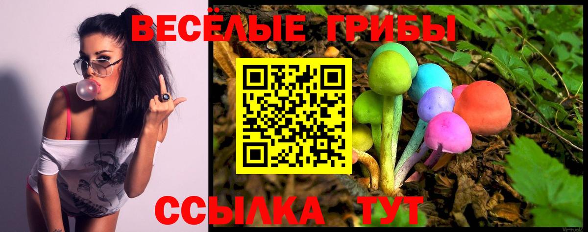 Галлюциногенные грибы прущие грибы Вологда