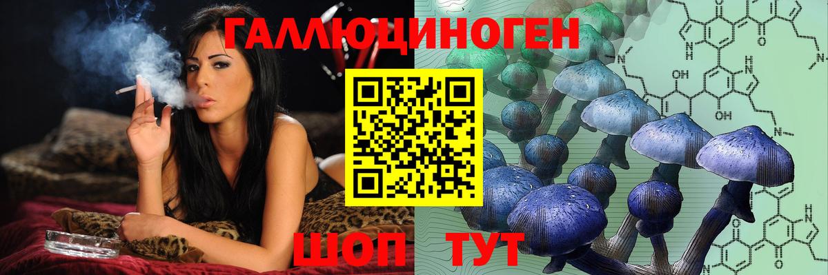 Вологда  Галлюциногенные грибы GOLDEN TEACHER  Вход с VPN  Псилоцибиновые грибы ЛСД 